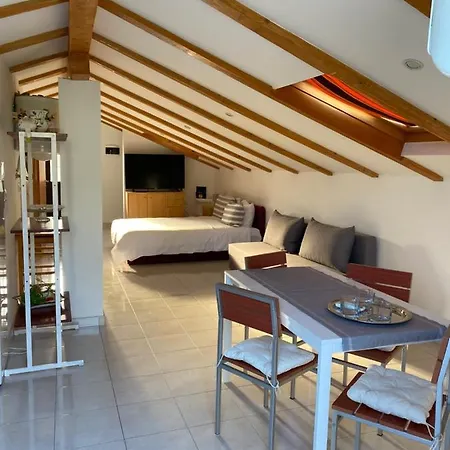 Violetta * Brtonigla