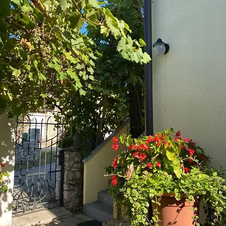 Violetta Apartament Brtonigla