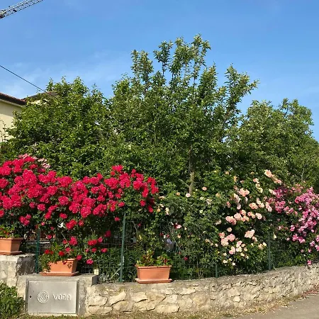 Apartament Violetta