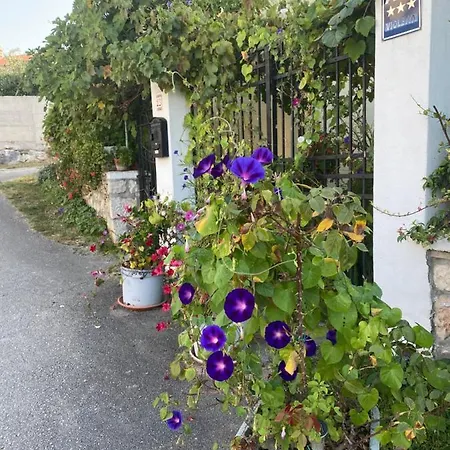 Violetta Apartamento *