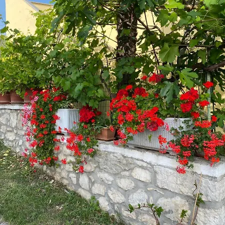 Violetta Apartament