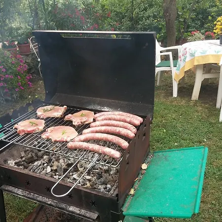 Violetta Apartamento Brtonigla