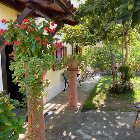 Violetta Apartment *