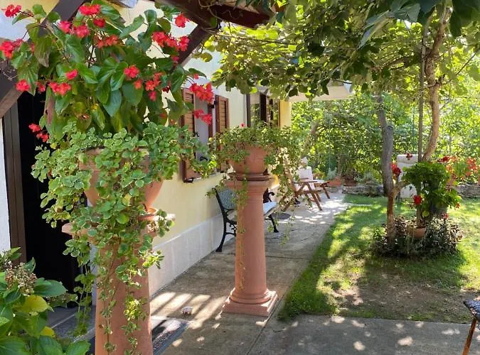 Violetta Appartement *